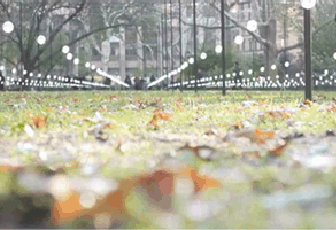 晶能光電點亮美國紐約麥迪森公園的夢幻和浪漫